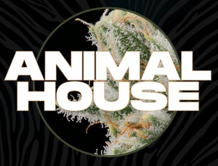 Animal House - Animal House | Wedding Cake | Infused Joints | .5g each | 7pk - 1