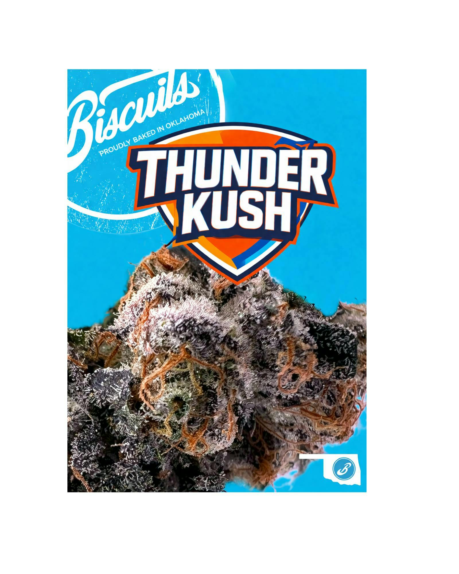 Biscuits - Biscuits | Thunder Kush | Big Buds | 28g - 1