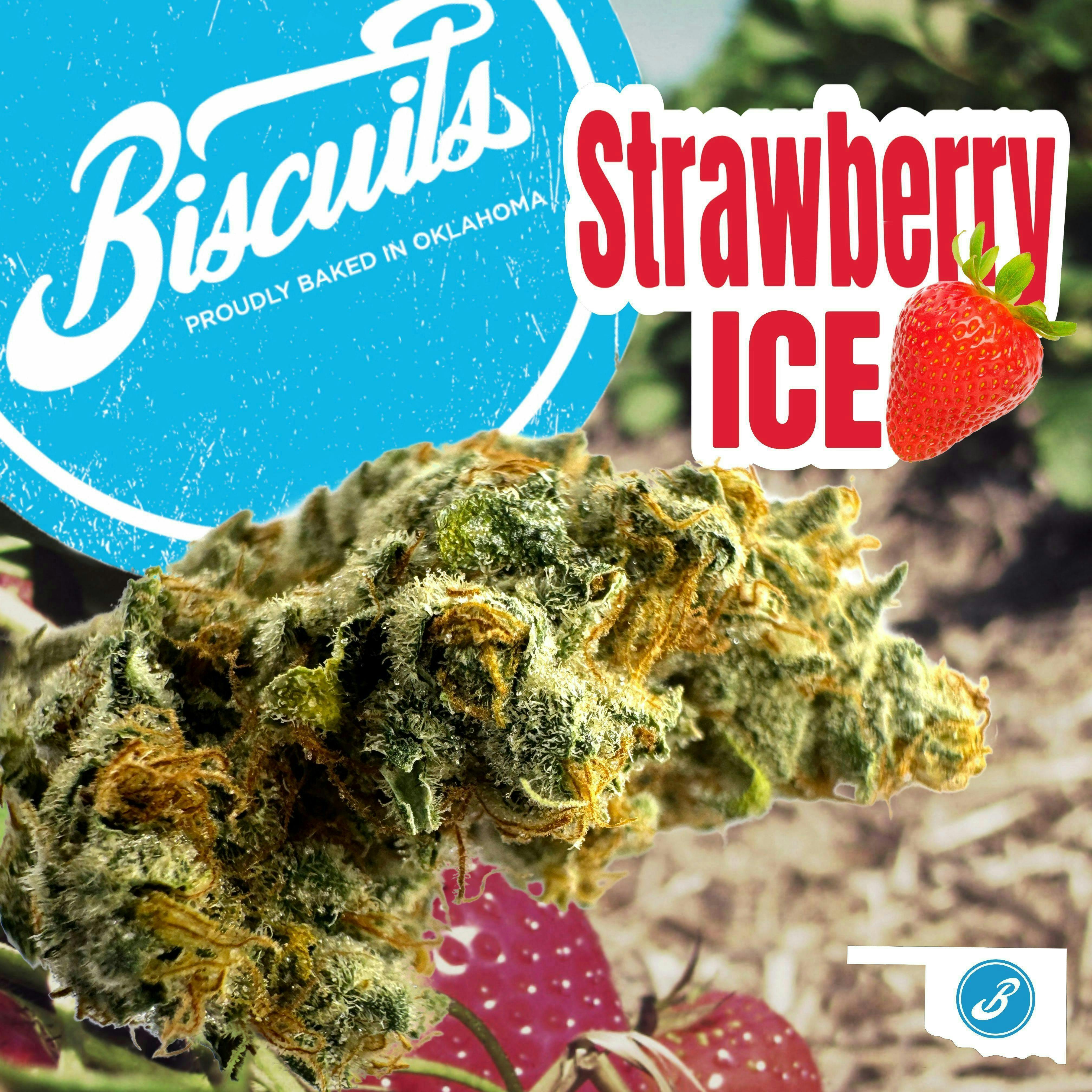 Biscuits - Biscuits | Strawberry Ice | Big Buds | 3.5g - 1