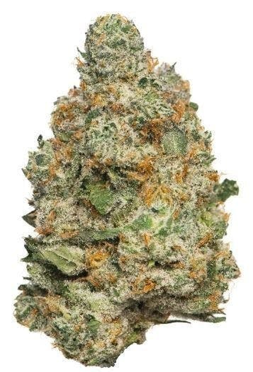 Mojo - Mojo | Apple Fritter | Big Buds | 14g - 1
