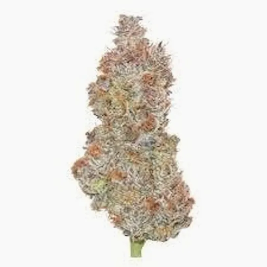 Mojo - Mojo | High Fructose Corn Syrup | Big Buds | 14g - 1