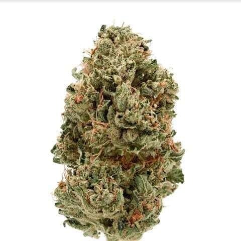 Mojo - Mojo | Clone Guy OG | Big Buds | 14g - 1