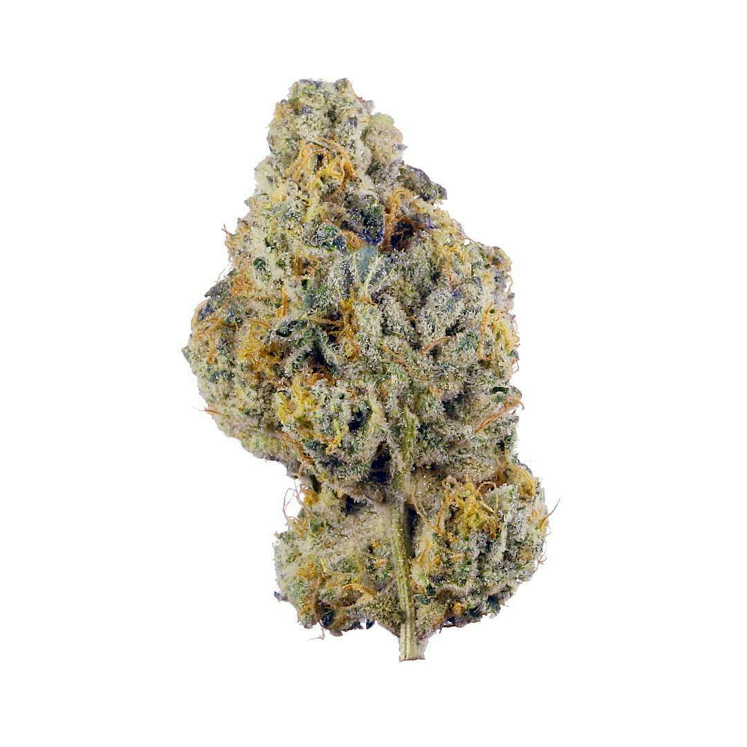 Mojo - Mojo | North Cake | Big Buds | 14g - 1