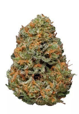 Mojo - Mojo | Straw Papaya | Big Buds | 14g - 1