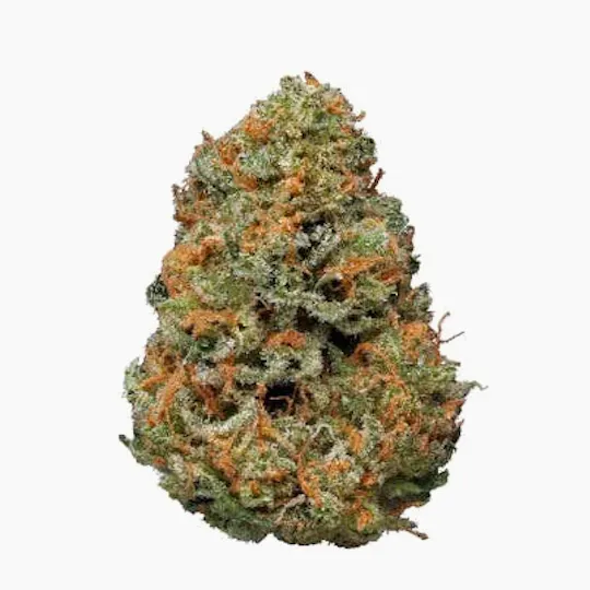 Mojo - Mojo | Straw Papaya | Big Buds | 14g - 1