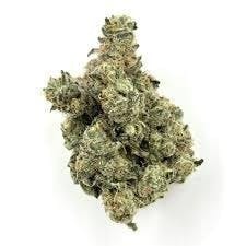 Mojo - Mojo | Gypsy Road | Big Buds | 14g - 1