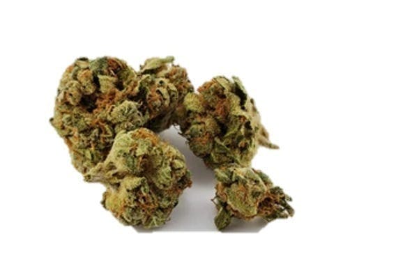 Mojo - Mojo | Mimosa Pie | Big Buds | 14g - 1