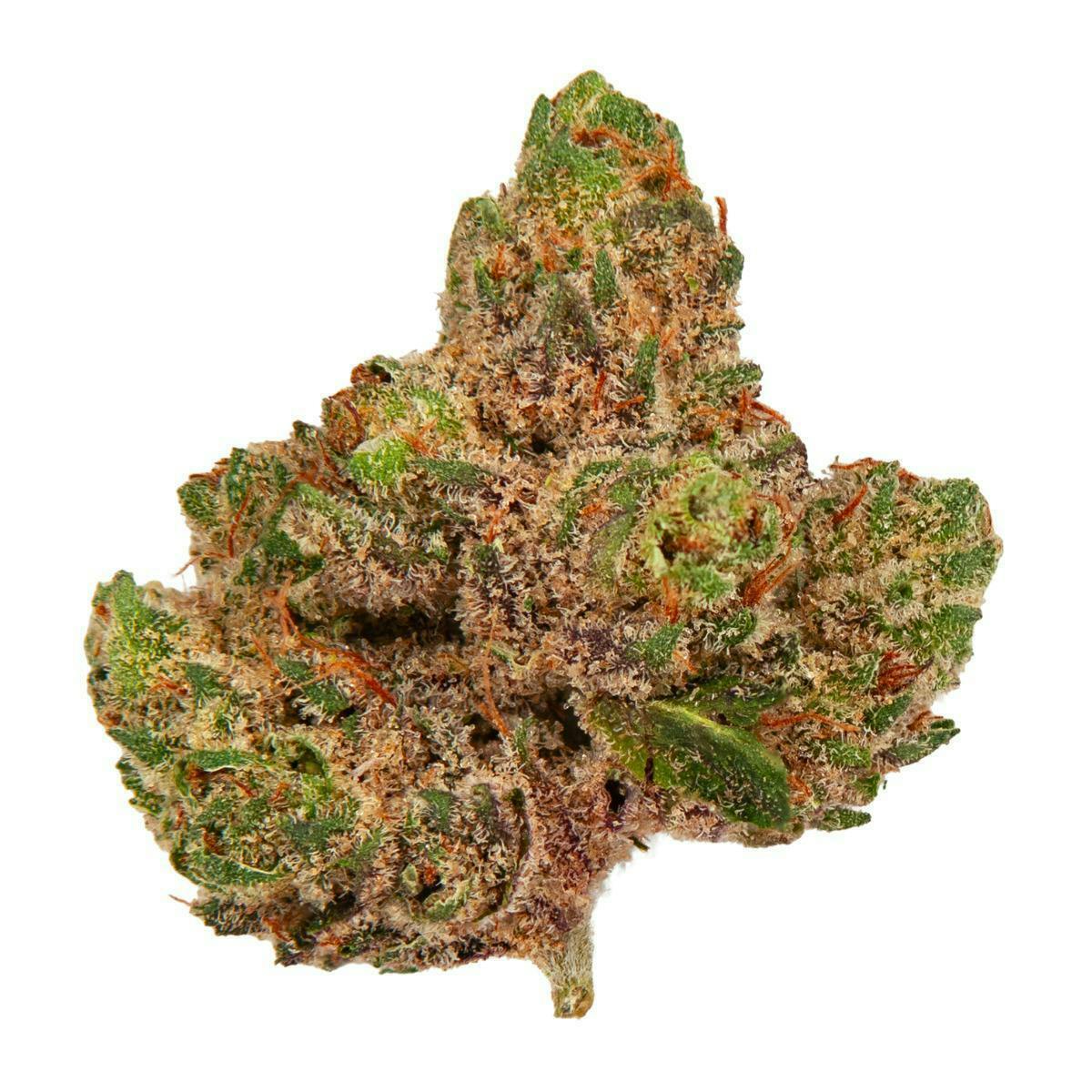 Mojo - Mojo | Blue Slushie | Smalls | 14g - 1