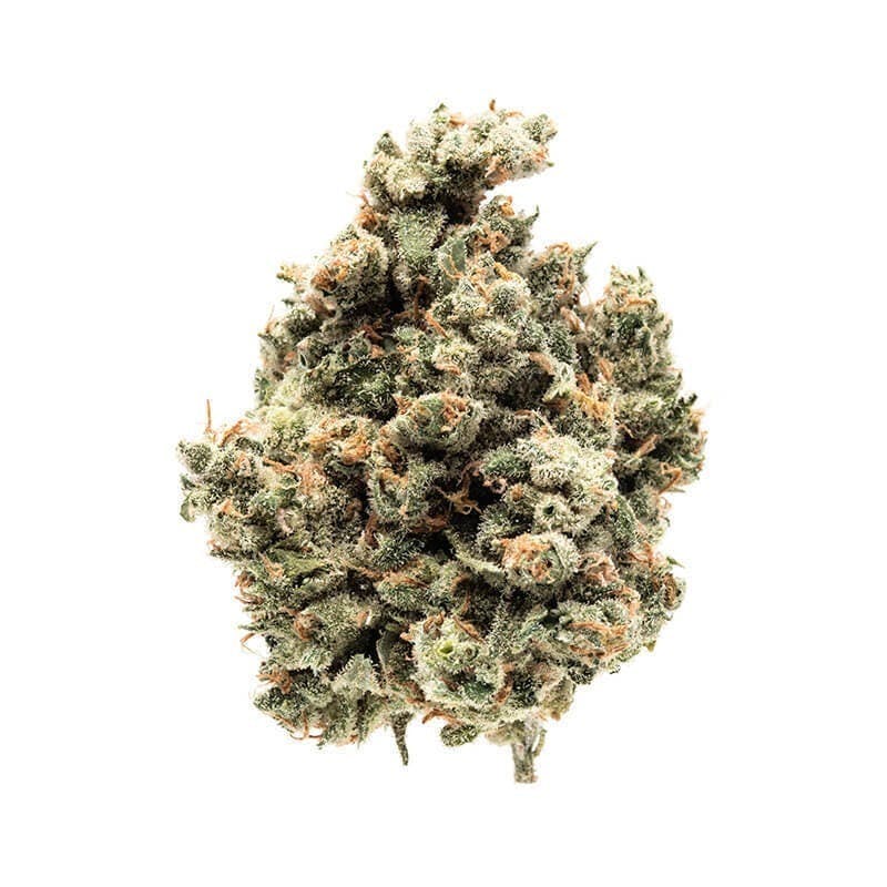 Mojo - Mojo | Ice Cream Cake | Big Buds | 14g - 1