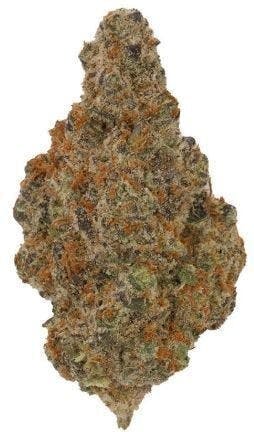 Mojo - Mojo | Cadillac Rainbows | Big Buds | 14g - 1