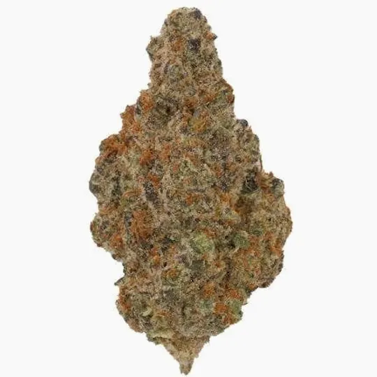 Mojo - Mojo | Cadillac Rainbows | Big Buds | 14g - 1