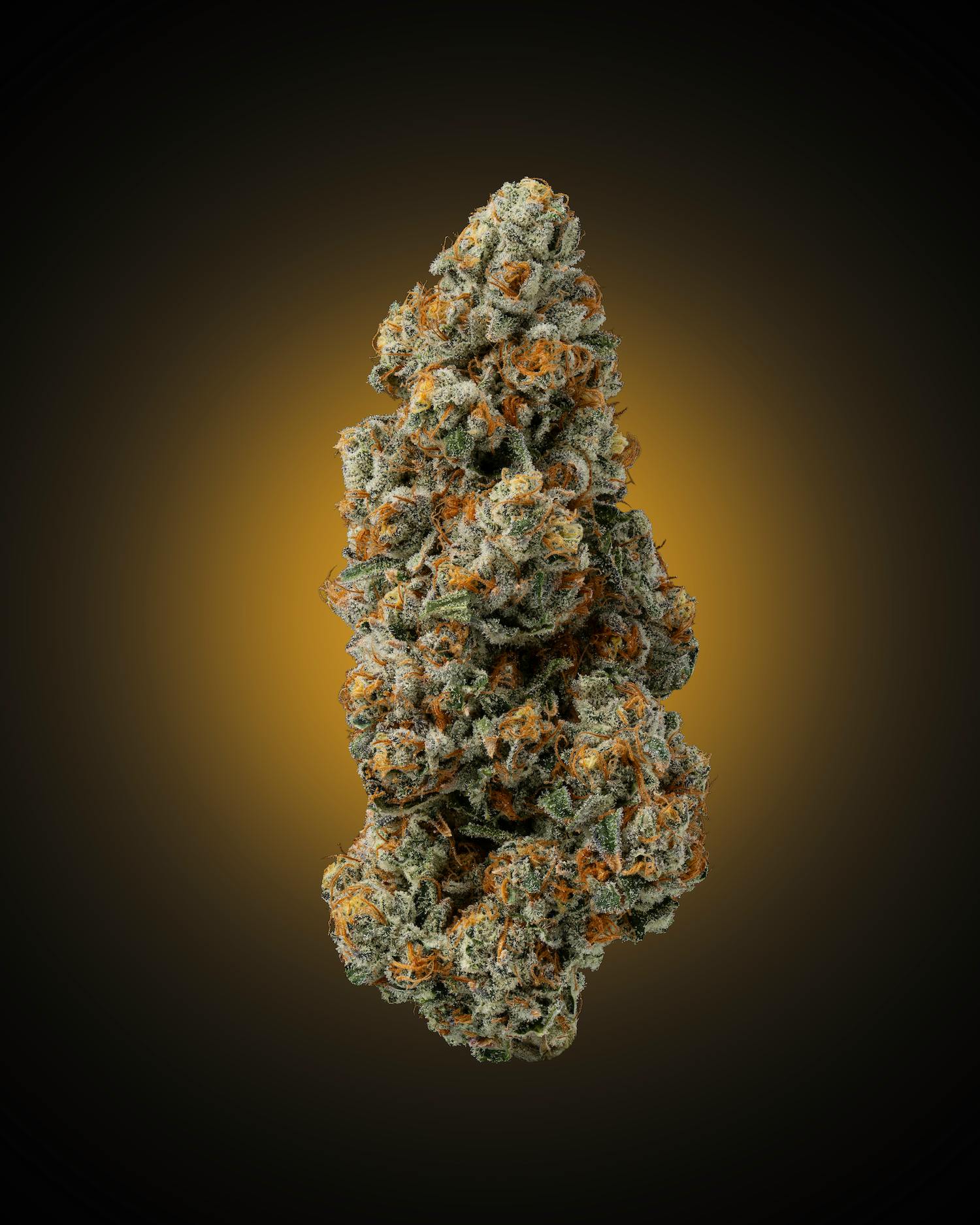 Faded Cannabis Company - 1G Preroll // Sub Zero - (Super Boof x Oreoz) - 1