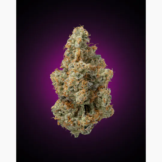 Faded Cannabis Company - 1g Preroll // Dante's Inferno - (Devil Driver x Oreoz) - 1