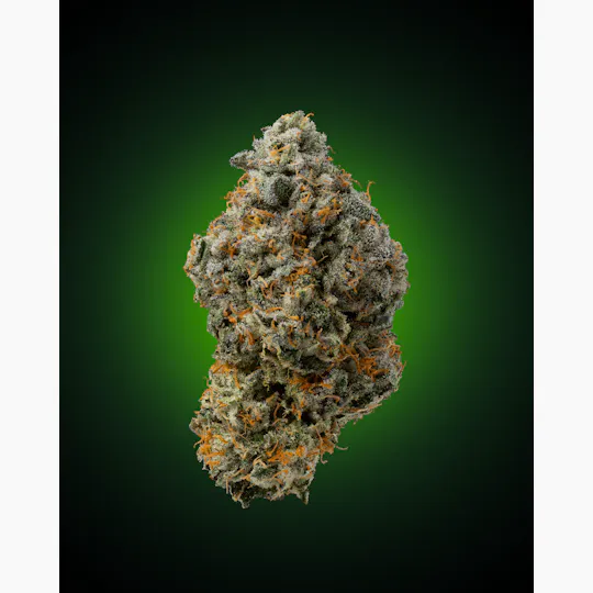 Faded Cannabis Company - Hawaiian Marker - ( Hawaiian Rain x Permanent Marker ) - 1