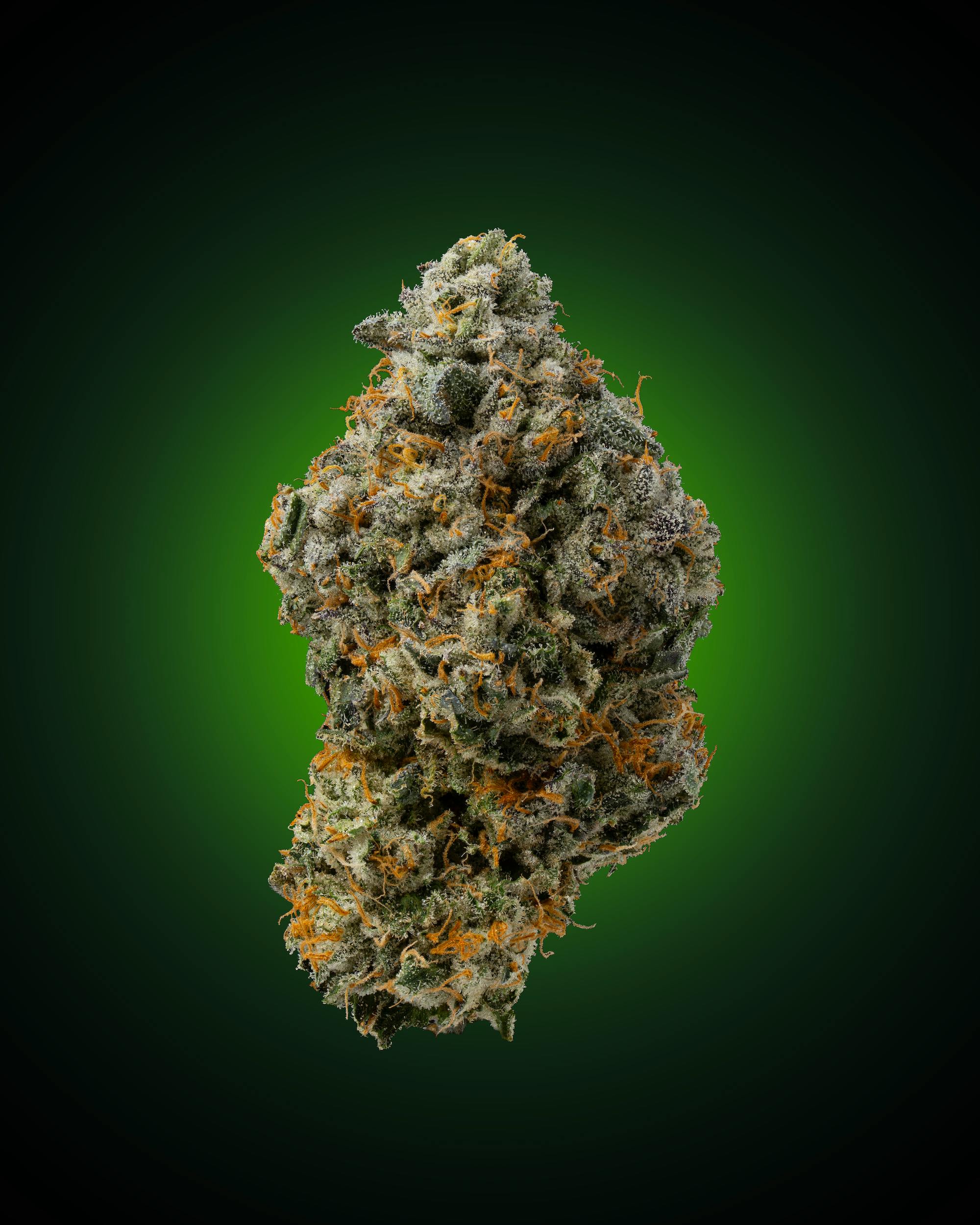 Faded Cannabis Company - 1g Preroll // Hawaiian Marker - ( Hawaiian Rain x Permanent Marker ) - 1