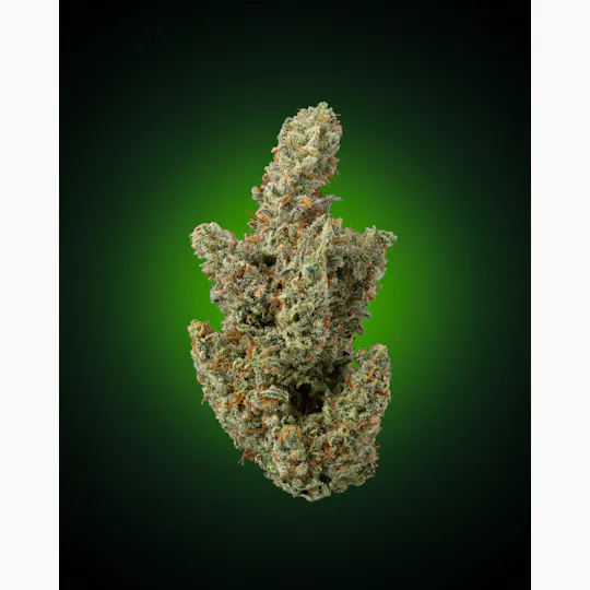 Faded Cannabis Company - 1G Preroll // Ghost Riderz - ( Gary Satan x The Ooze ) - 1