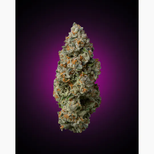 Faded Cannabis Company - Buzz 14 - ( UFO x Lemon Cherry Gelato ) - 1