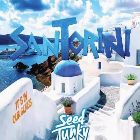 Seed Junky - Santorini | Big Buds - 1