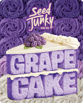 Seed Junky - Seed Junky | Grape Cake | Big Buds - 1