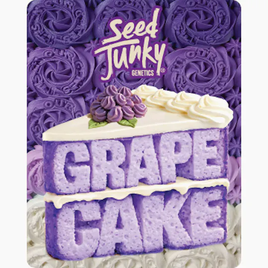 Seed Junky - Seed Junky | Grape Cake | Big Buds - 1