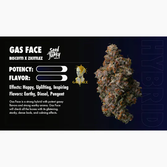Seed Junky - Gas Face | Big Buds - 1