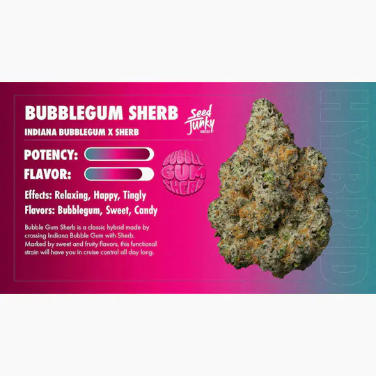 Seed Junky - Bubblegum Sherb | Big Buds | 3.5g - 1