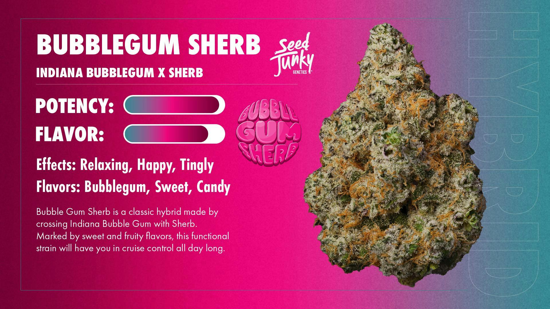 Seed Junky - Seed Junky | Bubblegum Sherb | Smalls | 14g - 1