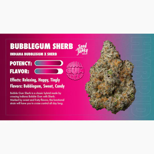 Seed Junky - Seed Junky | Bubblegum Sherb | Smalls | 14g - 1