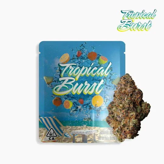 Seed Junky - Tropical Burst | Big Buds | 3.5g - 1