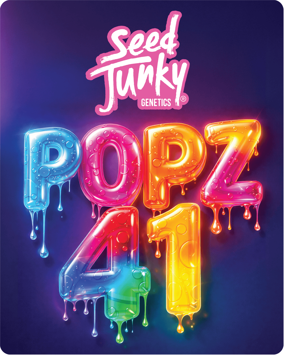 Seed Junky - Seed Junky | Popz 41 | Big Buds - 1