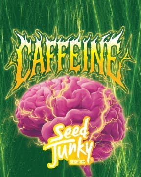 Seed Junky - Seed Junky | Caffeine | Big Buds - 1