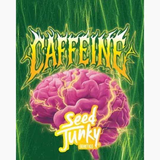 Seed Junky - Seed Junky | Caffeine | Big Buds - 1