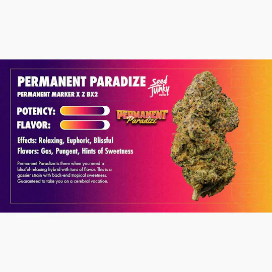 Seed Junky - Permanent Paradize | Big Buds | 3.5g - 1