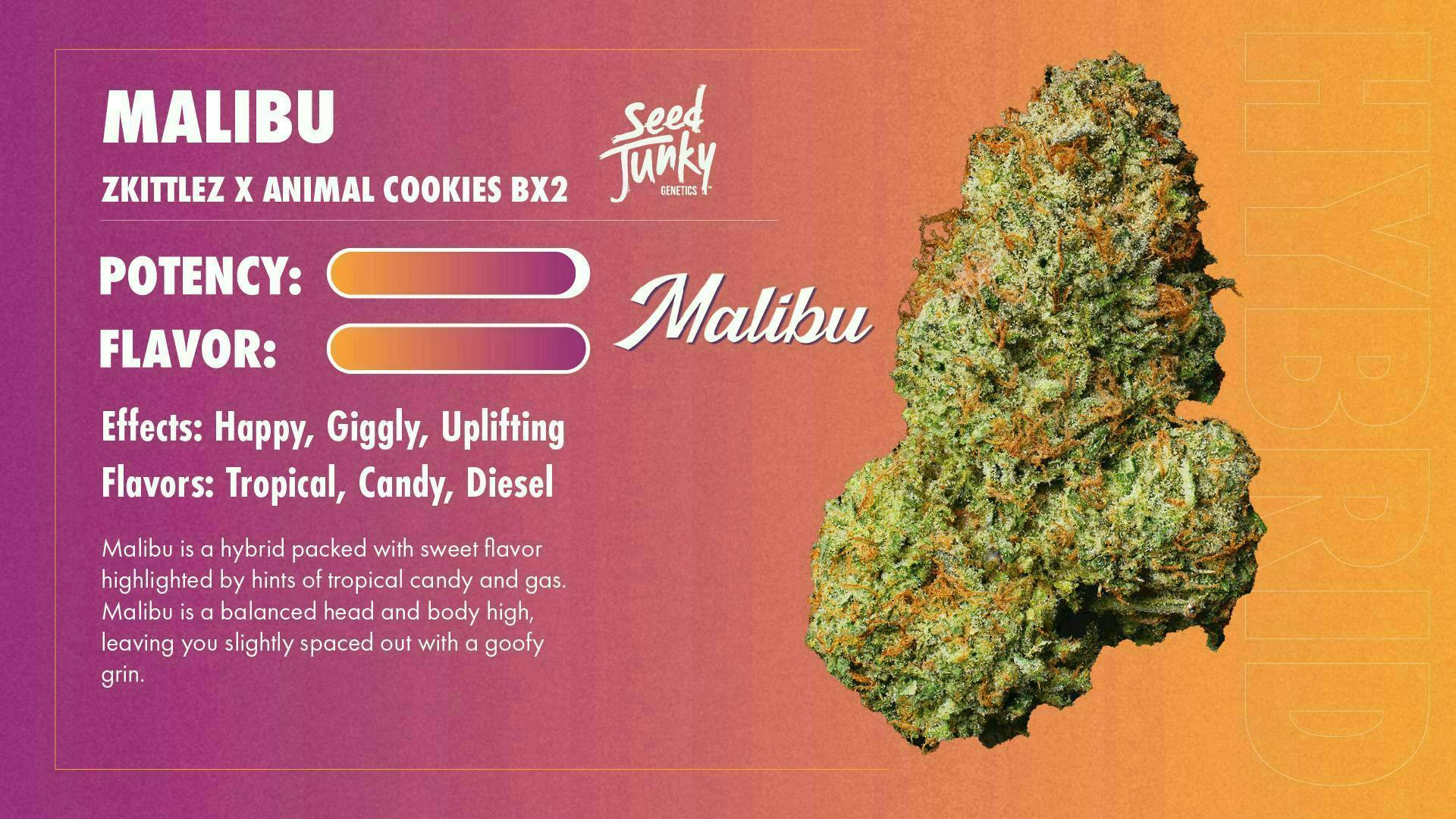 Seed Junky - Malibu | Joint | 1g - 1
