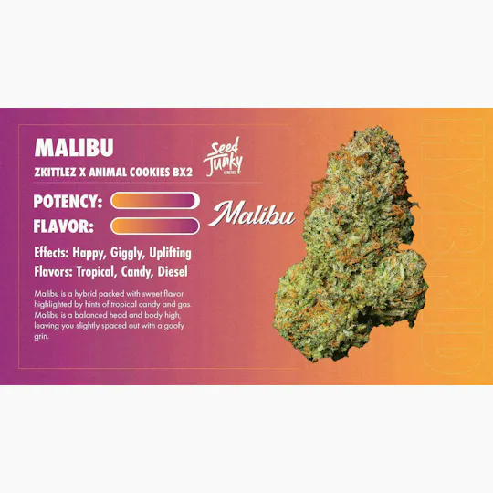 Seed Junky - Malibu | Joint | 1g - 1