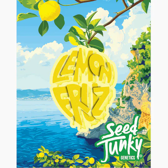 Seed Junky - Seed Junky | Lemon Fruz | Big Buds - 1