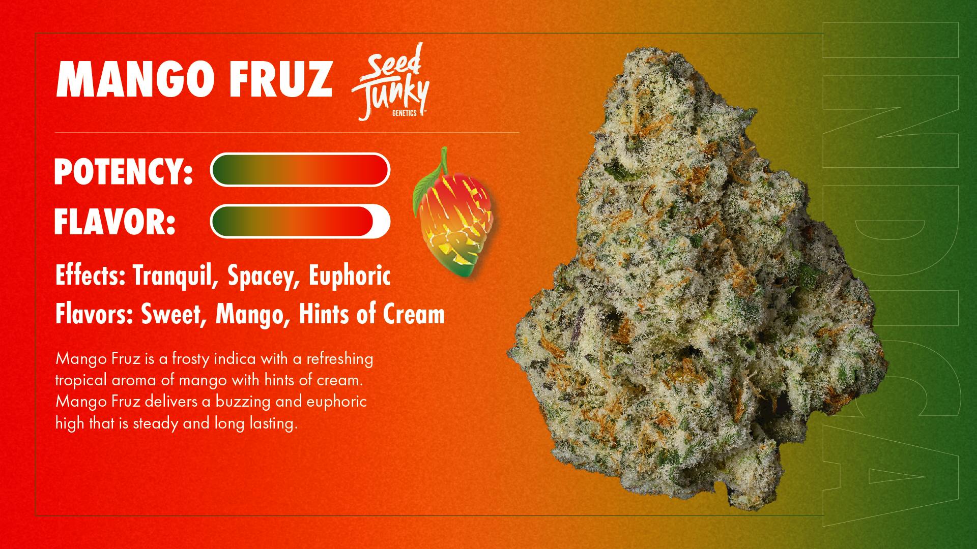 Seed Junky - Seed Junky | Mango Fruz | Infused Blunt | 2g - 1