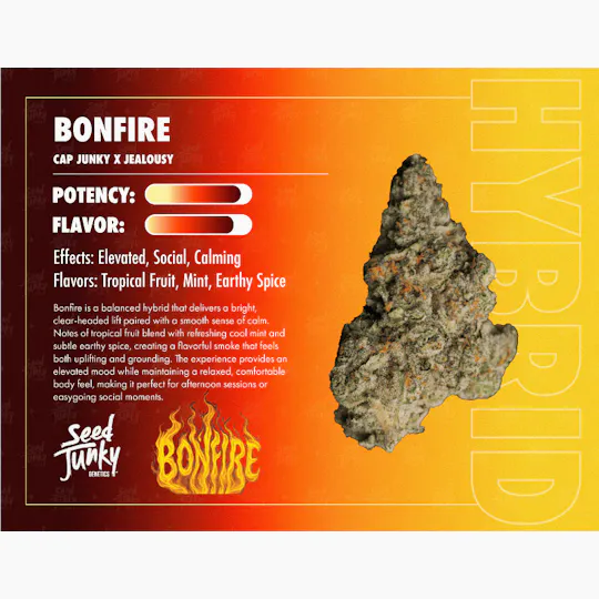 Seed Junky - Bonfire | Big Buds | 3.5g - 1