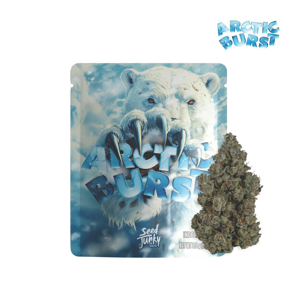 Seed Junky - Seed Junky | Arctic Burst | Big Buds | 3.5g - 1