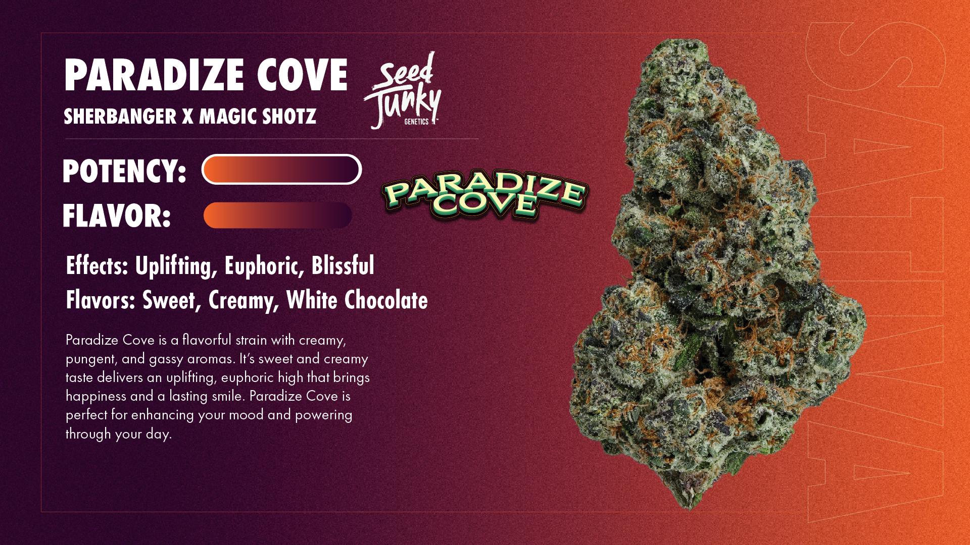 Seed Junky - Seed Junky | Paradize Cove | Smalls | 14g - 1