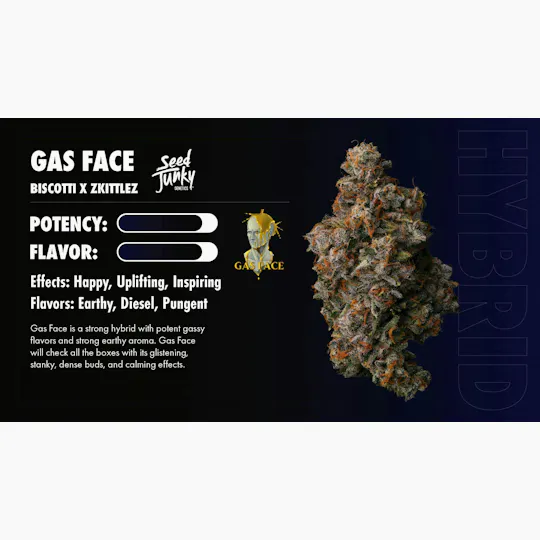 Seed Junky - Gas Face | Infused Joint | 1.5g - 1