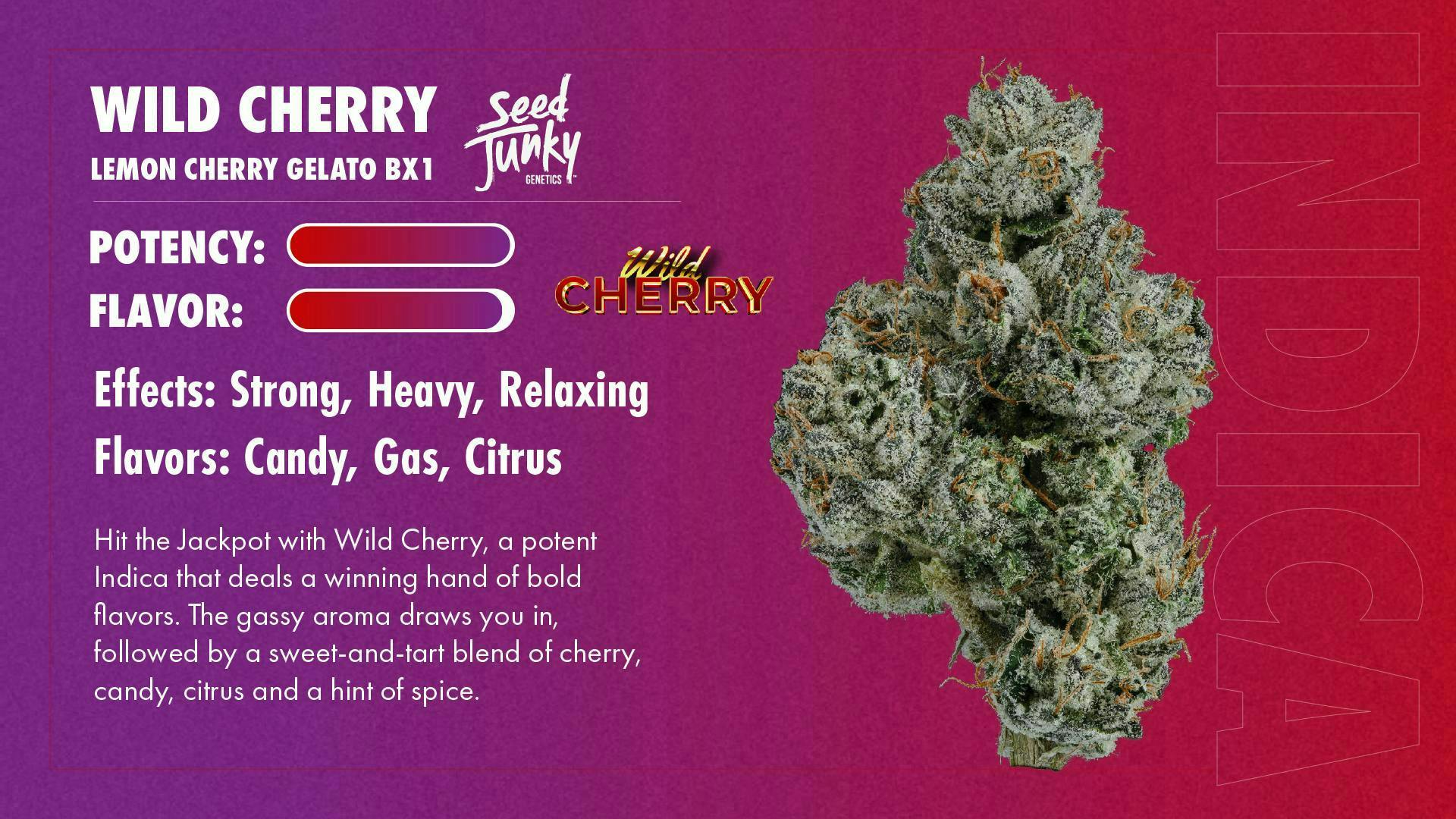 Seed Junky - Wild Cherry | Joint | 1g - 1