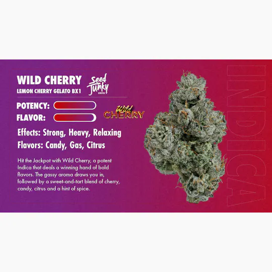 Seed Junky - Wild Cherry | Joint | 1g - 1
