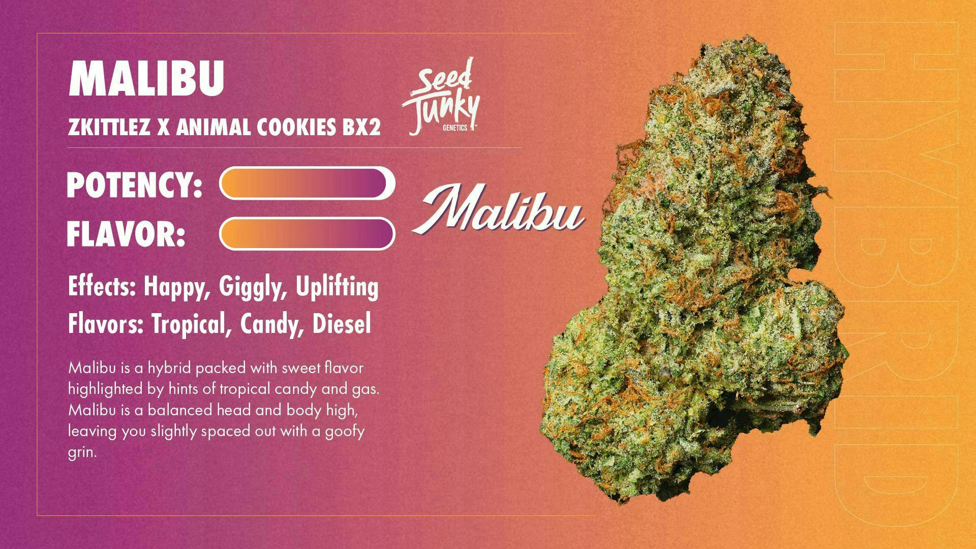 Seed Junky - Seed Junky | Malibu | Smalls | 14g - 1