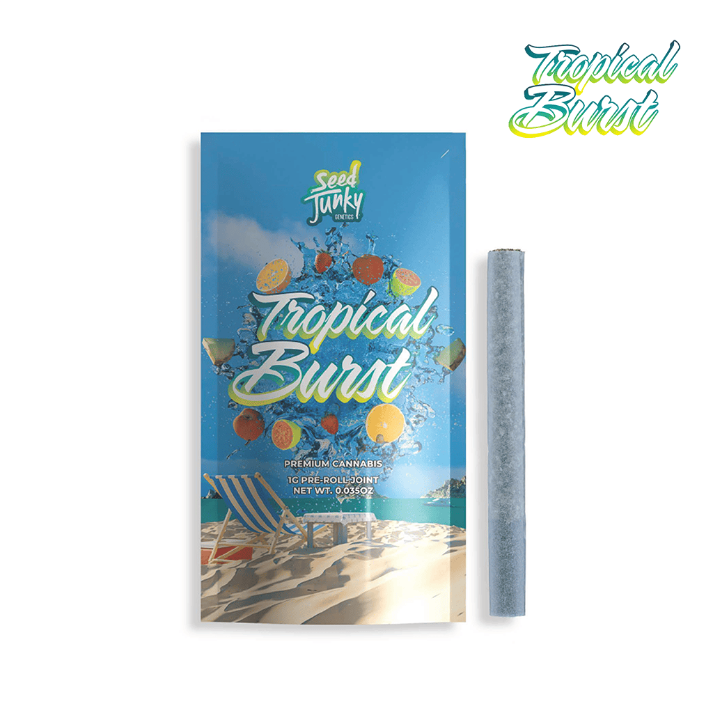Seed Junky - Seed Junky | Tropical Burst | Joint | 1g - 1
