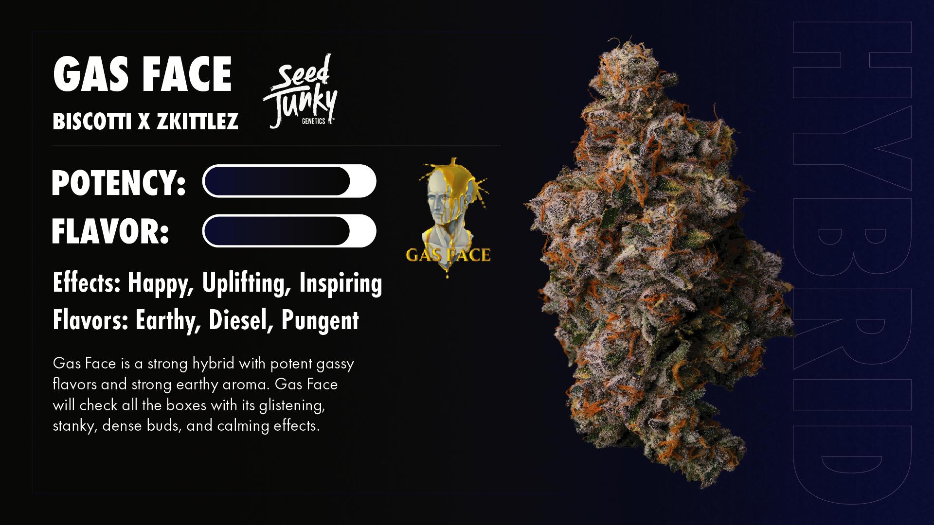 Seed Junky - Seed Junky | Gas Face | Infused Blunt | 2g - 1