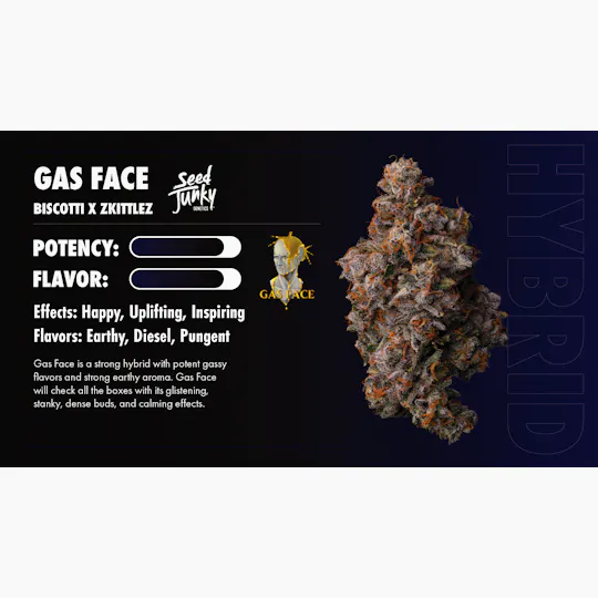 Seed Junky - Seed Junky | Gas Face | Infused Blunt | 2g - 1