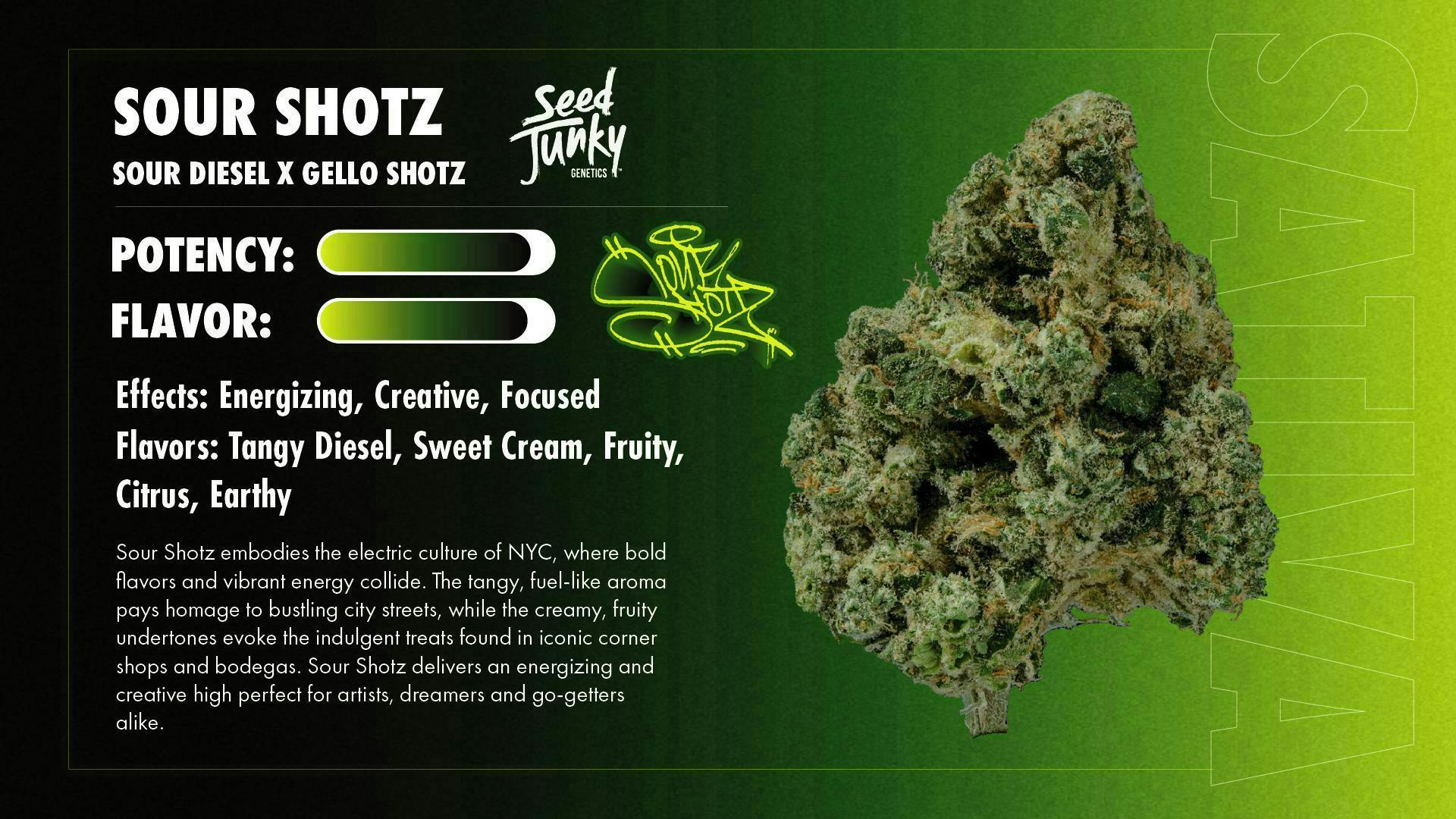 Seed Junky - Sour Shotz | Infused Blunt | 2g - 1