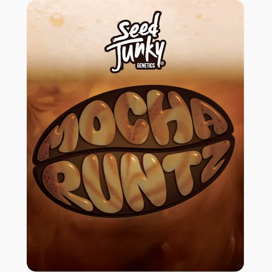 Seed Junky - Seed Junky | Mocha Runtz | Big Buds - 1