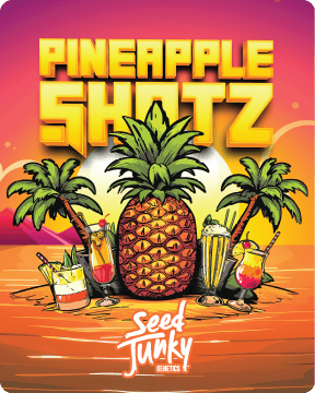 Seed Junky - Seed Junky | Pineapple Shotz | Big Buds - 1